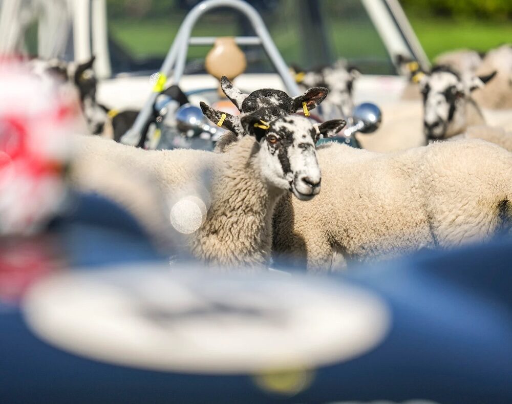 A Unique Jim Clark Celebration