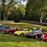 KLEIN ABER FEIN: The Turtle Invitational 2025 KLEIN ABER FEIN: The Turtle Invitational 2025