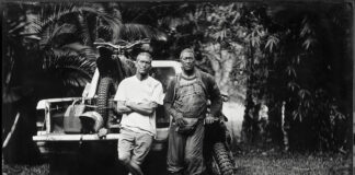 collectorscarworld DayBreak #1435