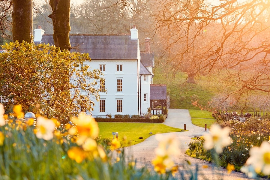 Grove of Narberth 3 230317 097