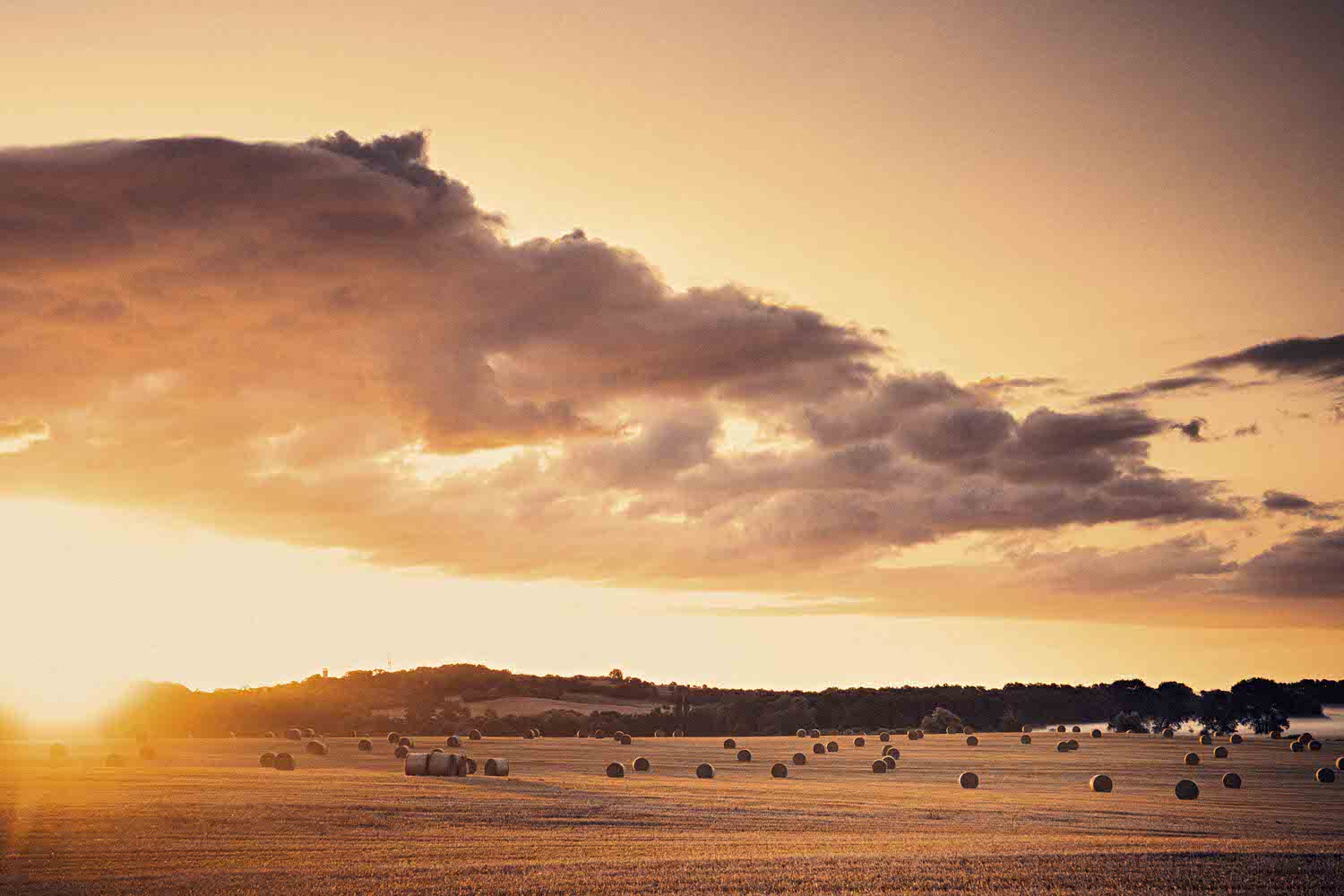 Monk, McLaren, Morning Mist 5 DSC03741