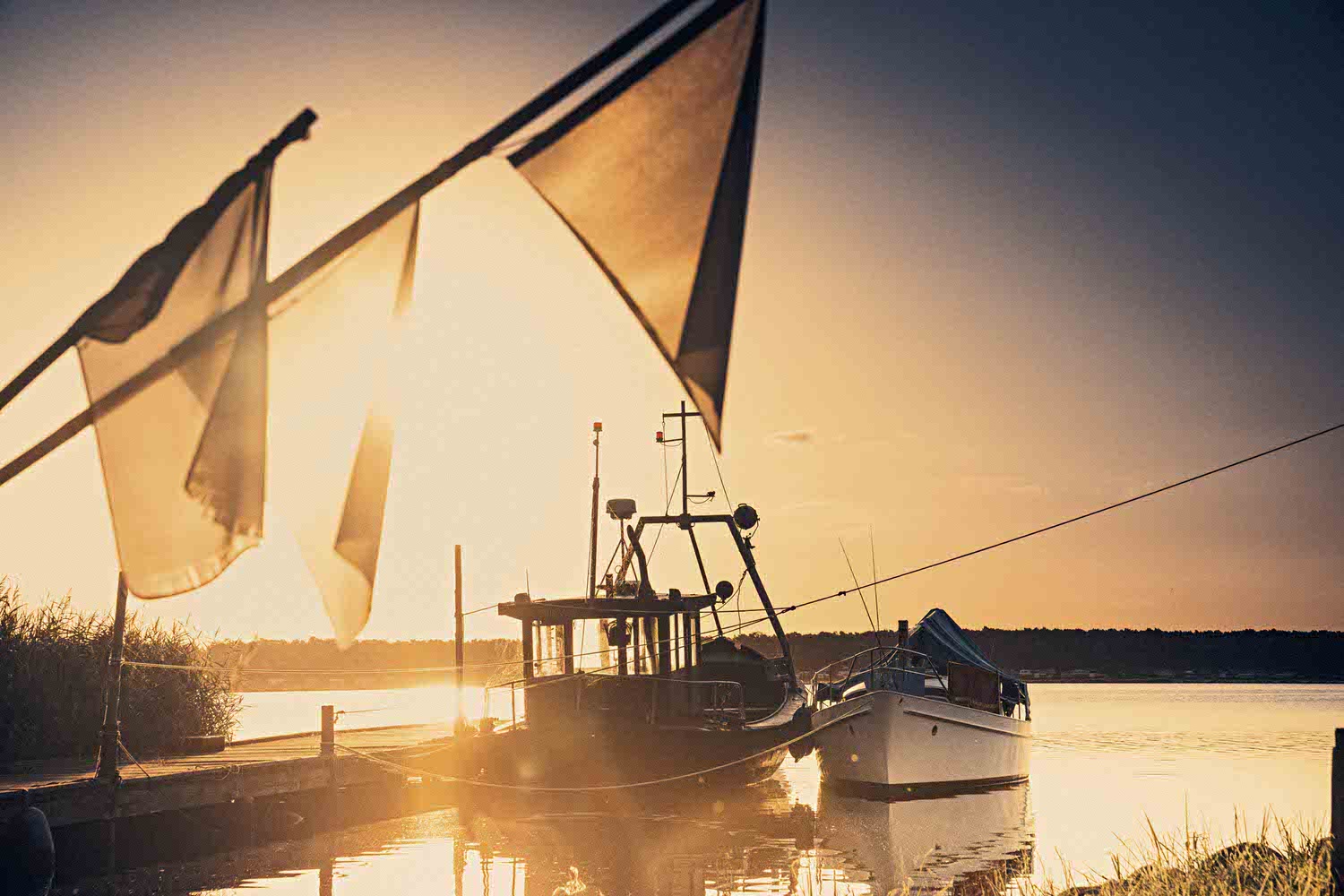 Monk, McLaren, Morning Mist 3 DSC03852