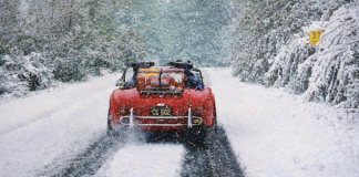 collectorscarworld DayBreak #1479