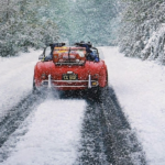 Season’s Greetings