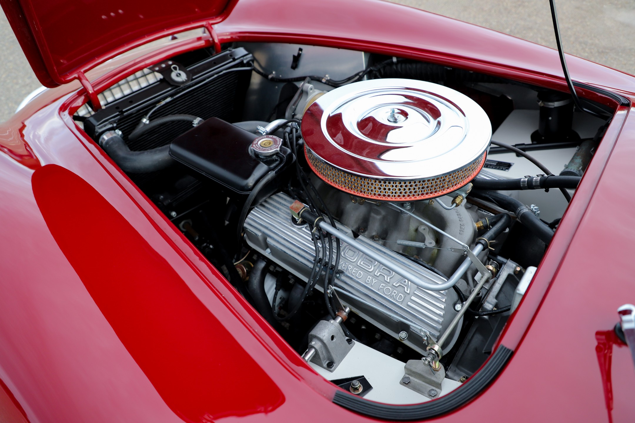 1965 Kirkham Cobra 6 6930f1d355dcdad539e03120 IMG 2550