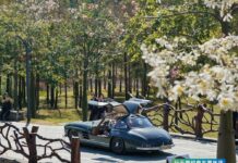 Mille Miglia Experience China 2025