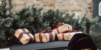 collectorscarworld DayBreak #1477