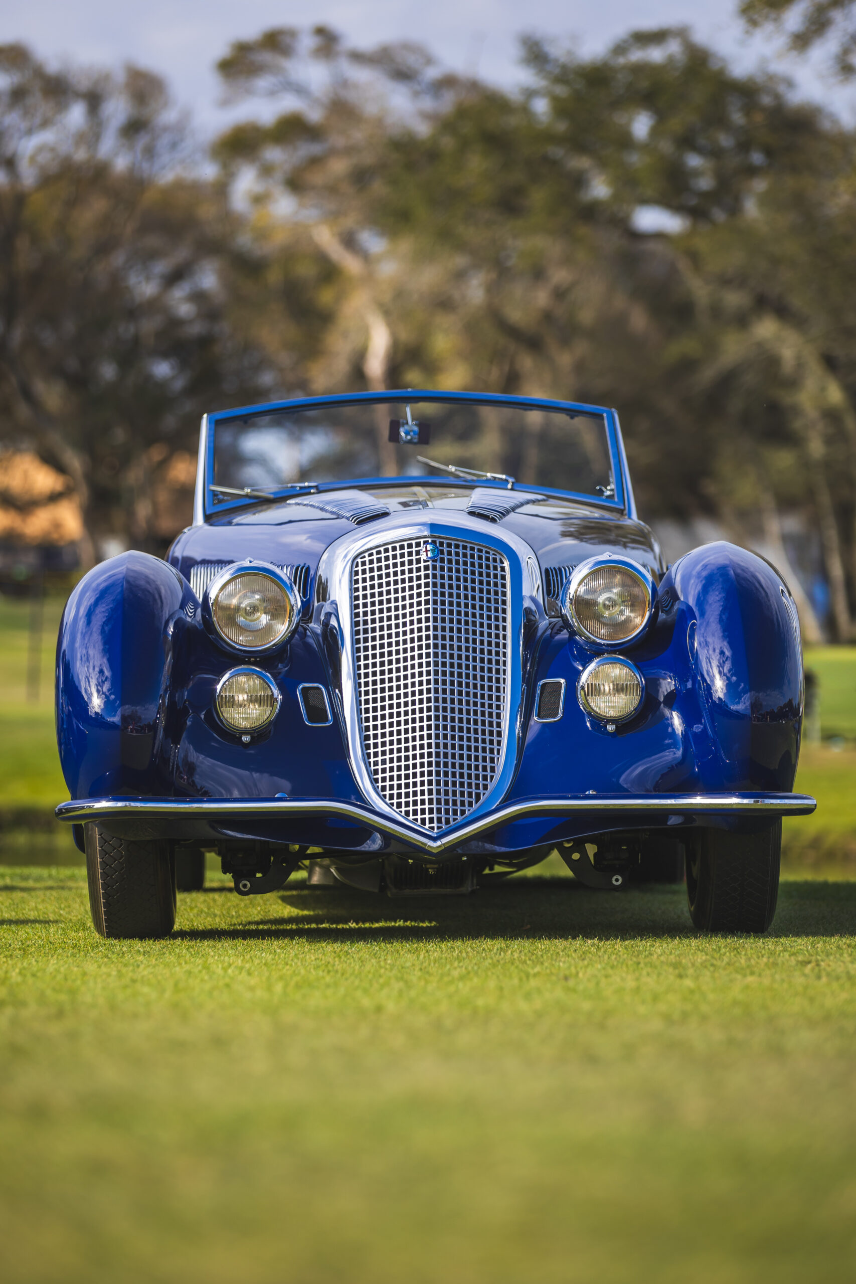 2025 Amelia Deremer Studios DS4X7308 scaled