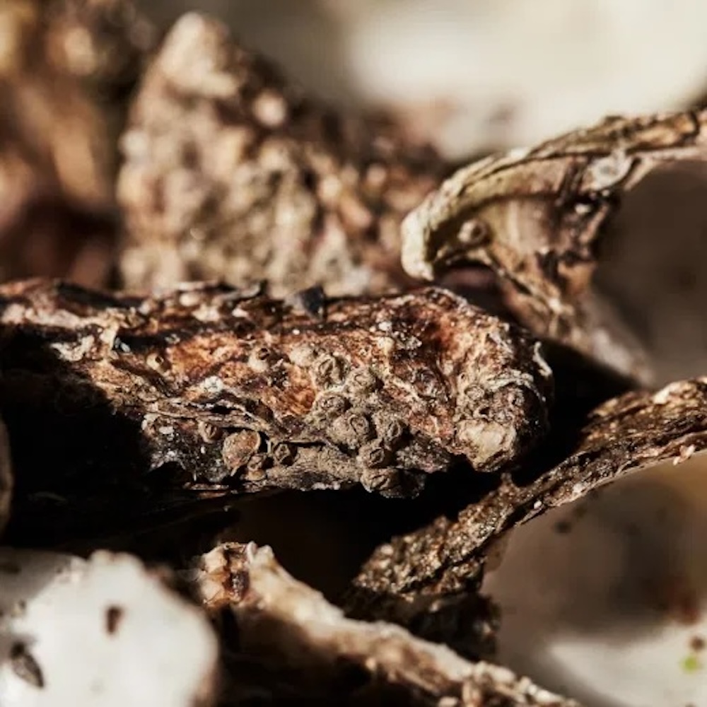 04651 - A Trip In A Bag 8 About 3er Module Oyster 2.1675412446.jpg