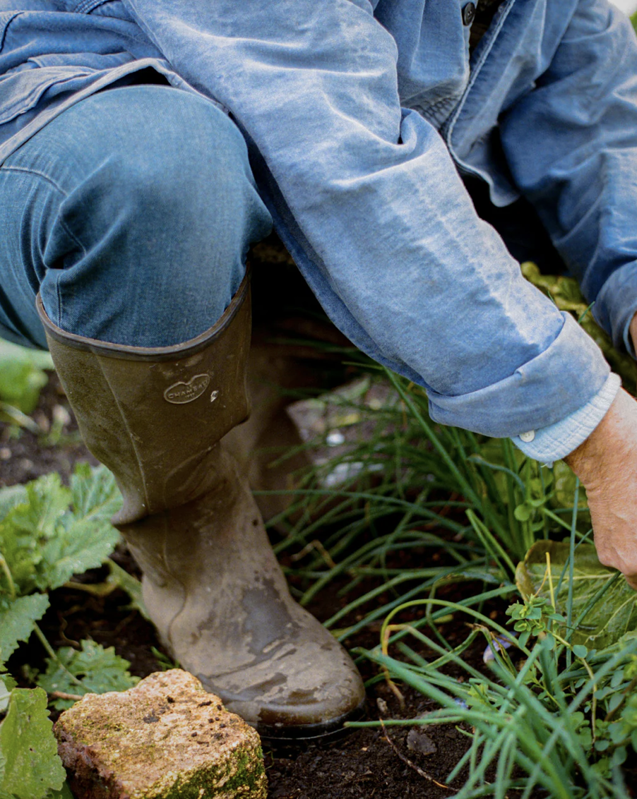 Le Chameau 3 Bildschirmfoto 2026 01 28 um 21.05.17
