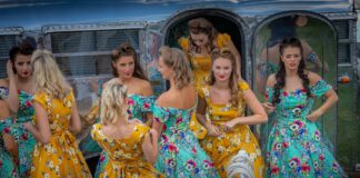 collectorscarworld DayBreak #1502