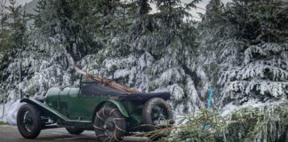 collectorscarworld DayBreak #1515