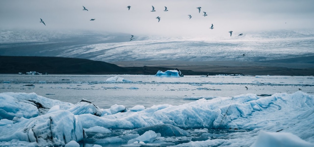 Iceland: Venturing Across the Untouched Highlands 11 iceland expedition14 100