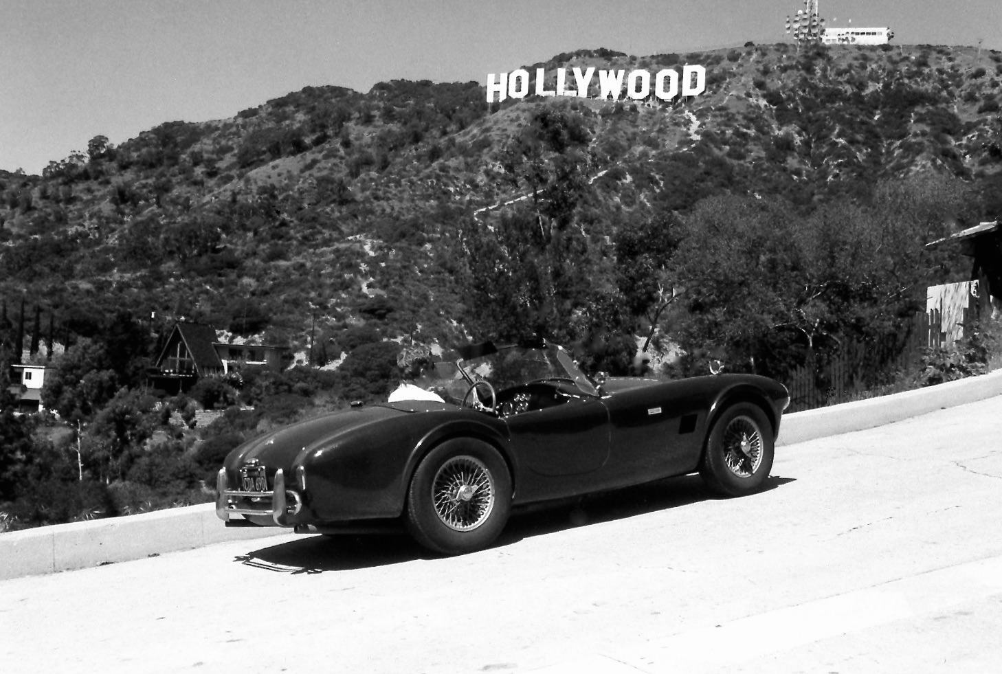 BB Cobra Hollywood NEU 1