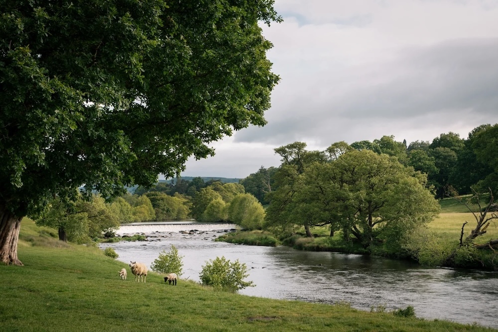 The Cavendish Hotel At Baslow 5 Chatsworth Estate Devonshire Group 010 LR.jpg