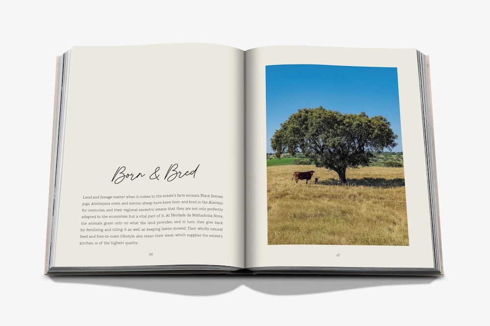 Malhadinha: The Soul Of Alentejo 3 MALHANDINHA SPREAD GREY 5.jpg