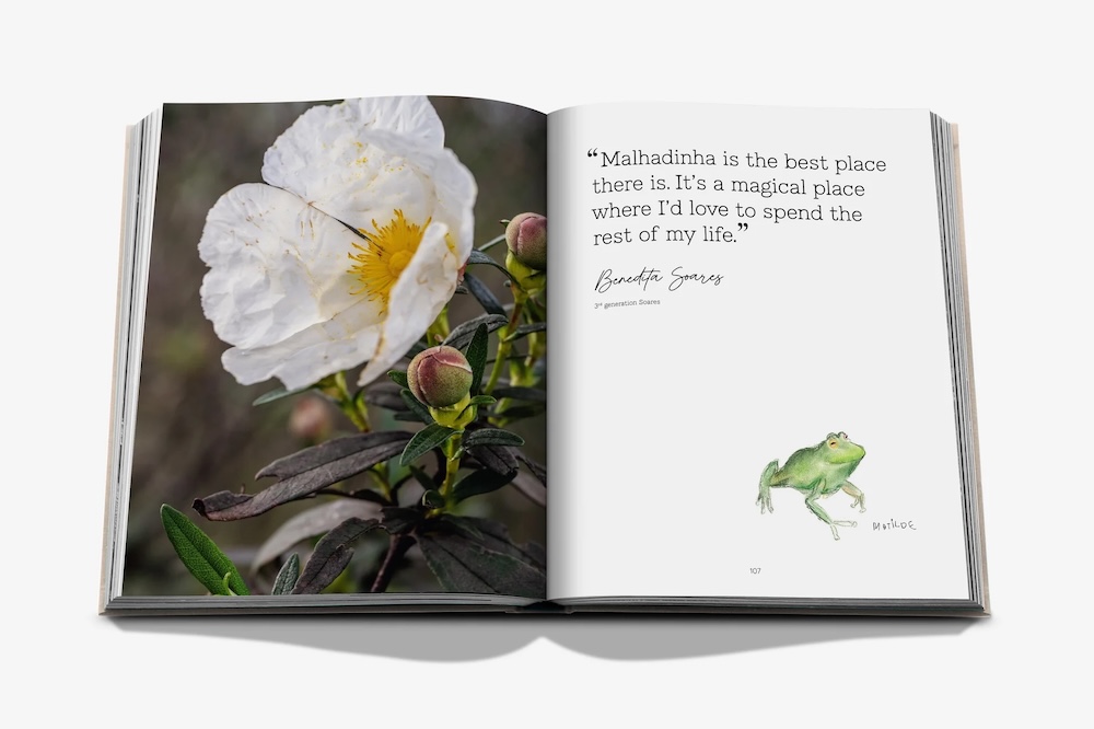 Malhadinha: The Soul Of Alentejo 8 MALHANDINHA SPREAD GREY 7.jpg