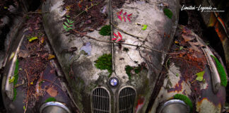 collectorscarworld DayBreak #1525