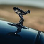 The Beatle & The Black Badge The Beatle & The Black Badge