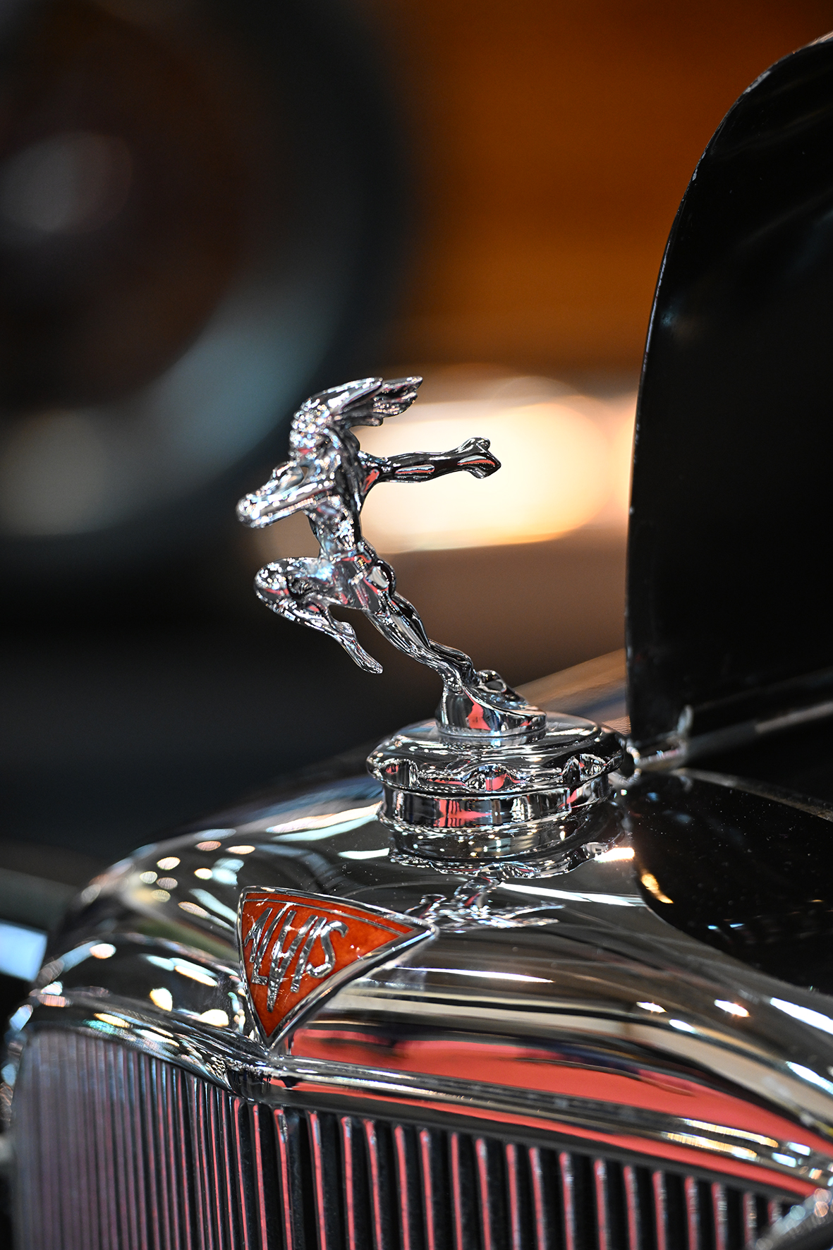 DSC 4260