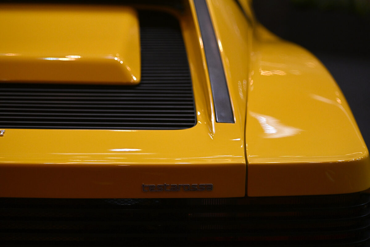 dsc_4334