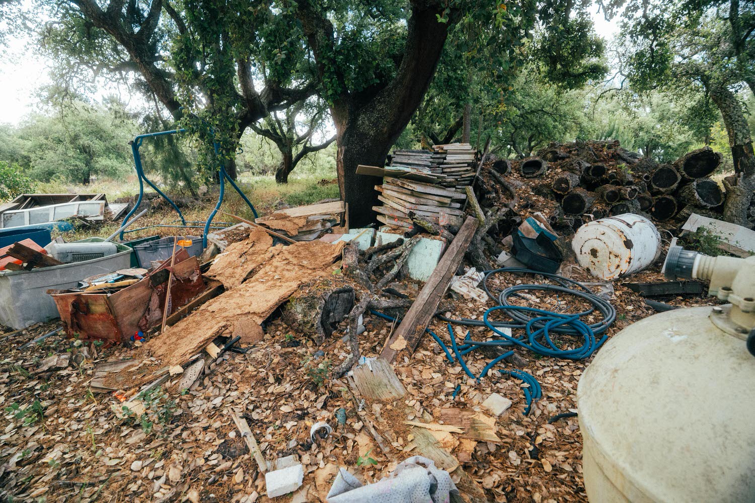 HK ENGINEERING 300SL barnfind Lisbon2026 45