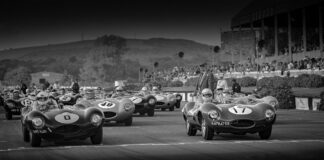collectorscarworld DayBreak #1588