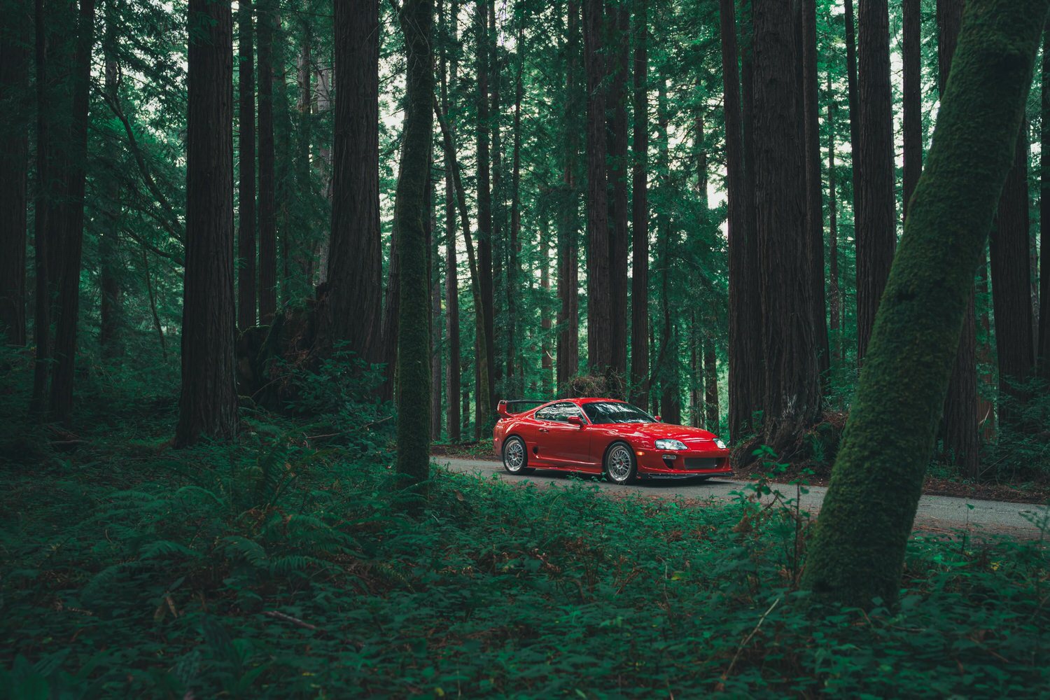 Five Years X One Vision: Toyota Supra MkIV 16 DSC01118 Enhanced NR.png Kopie 1