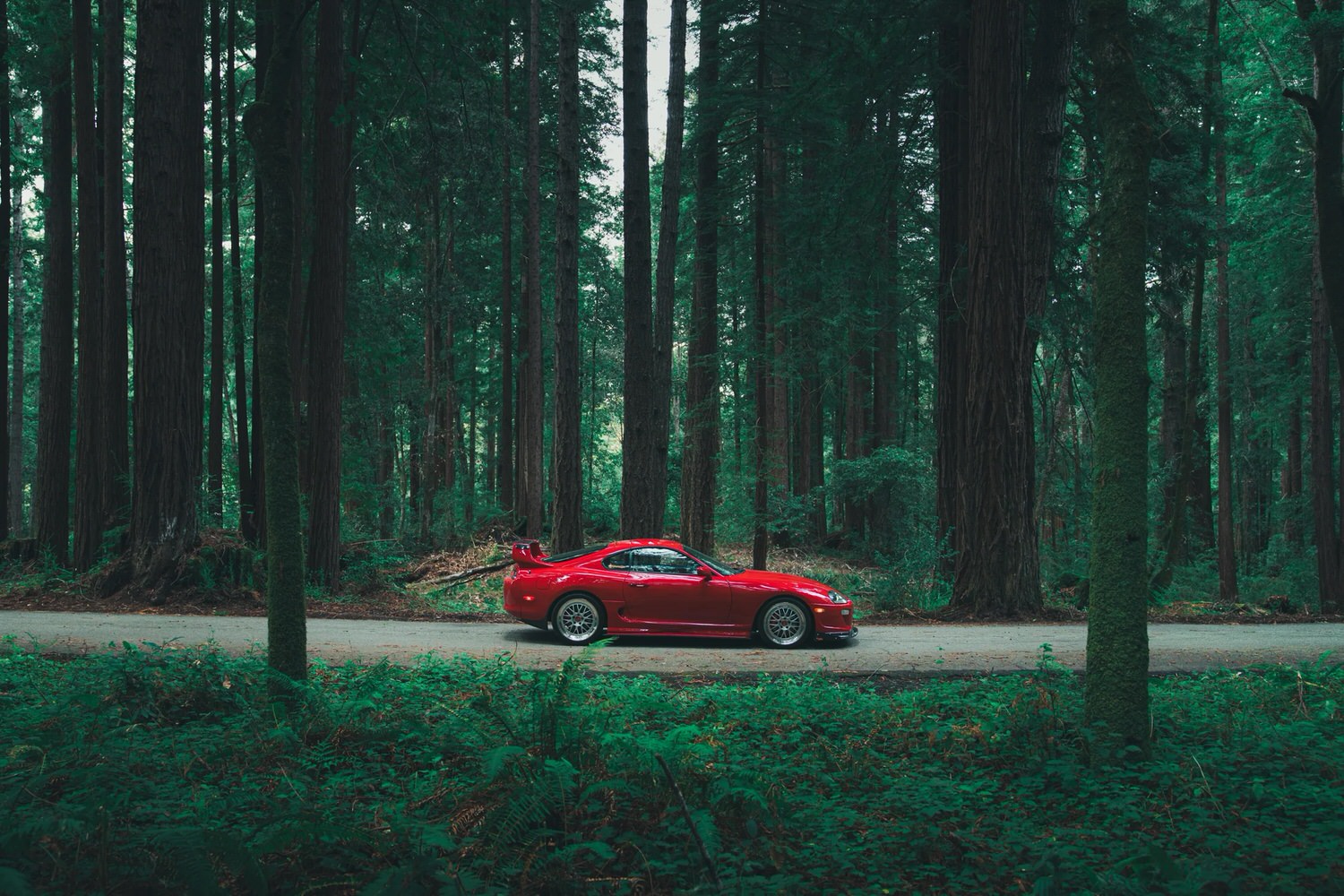 Five Years X One Vision: Toyota Supra MkIV 10 DSC01323 Enhanced NR.png Kopie 1