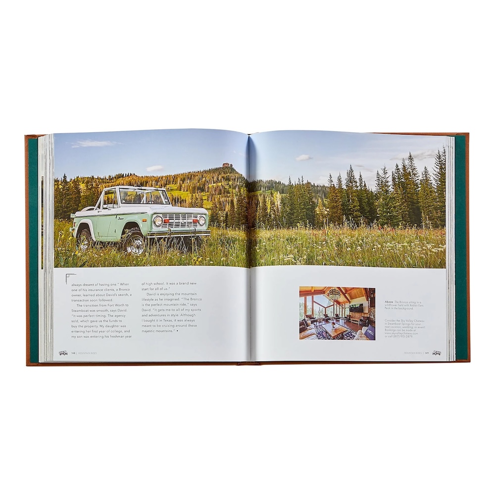 Mountain Rides 9 Mountain Rides BRN 9.jpg