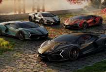 Limited Edition: Revuelto Impavido