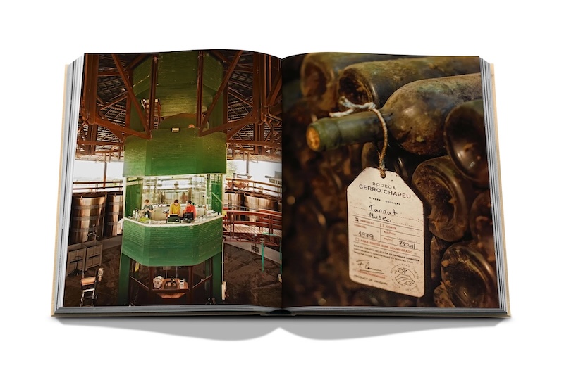Wine & Travel Latin America By Assouline 7 WINE AND TRAVEL SPREAD 1.jpg