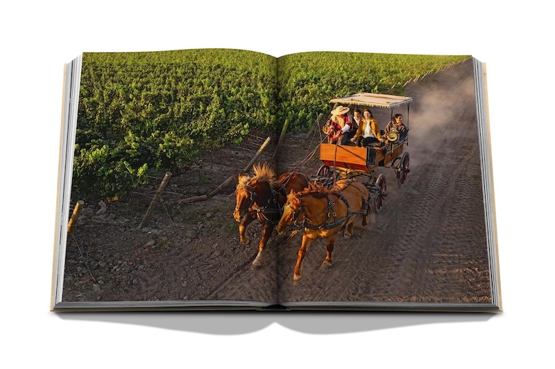 Wine & Travel Latin America By Assouline 6 WINE AND TRAVEL SPREAD 2.jpg