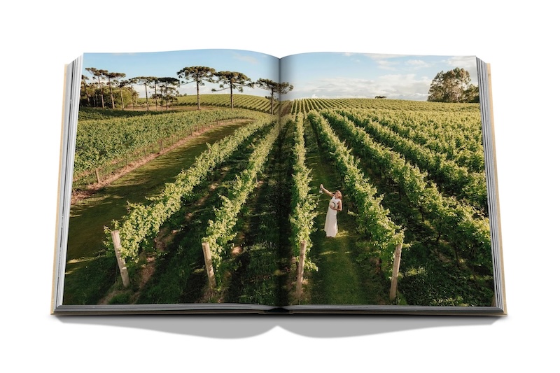 Wine & Travel Latin America By Assouline 8 WINE AND TRAVEL SPREAD 4.jpg