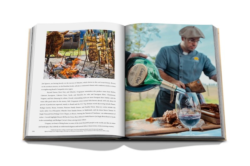 Wine & Travel Latin America By Assouline 10 WINE AND TRAVEL SPREAD 5.jpg
