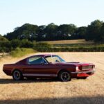Burning In: Steve Theo’s Mustang Burning In: Steve Theo's Mustang