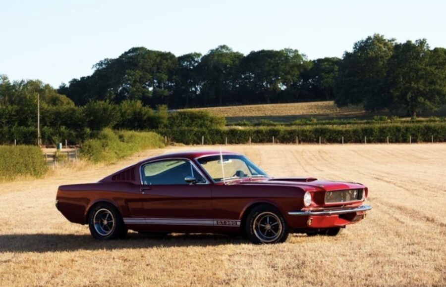Burning In: Steve Theo's Mustang