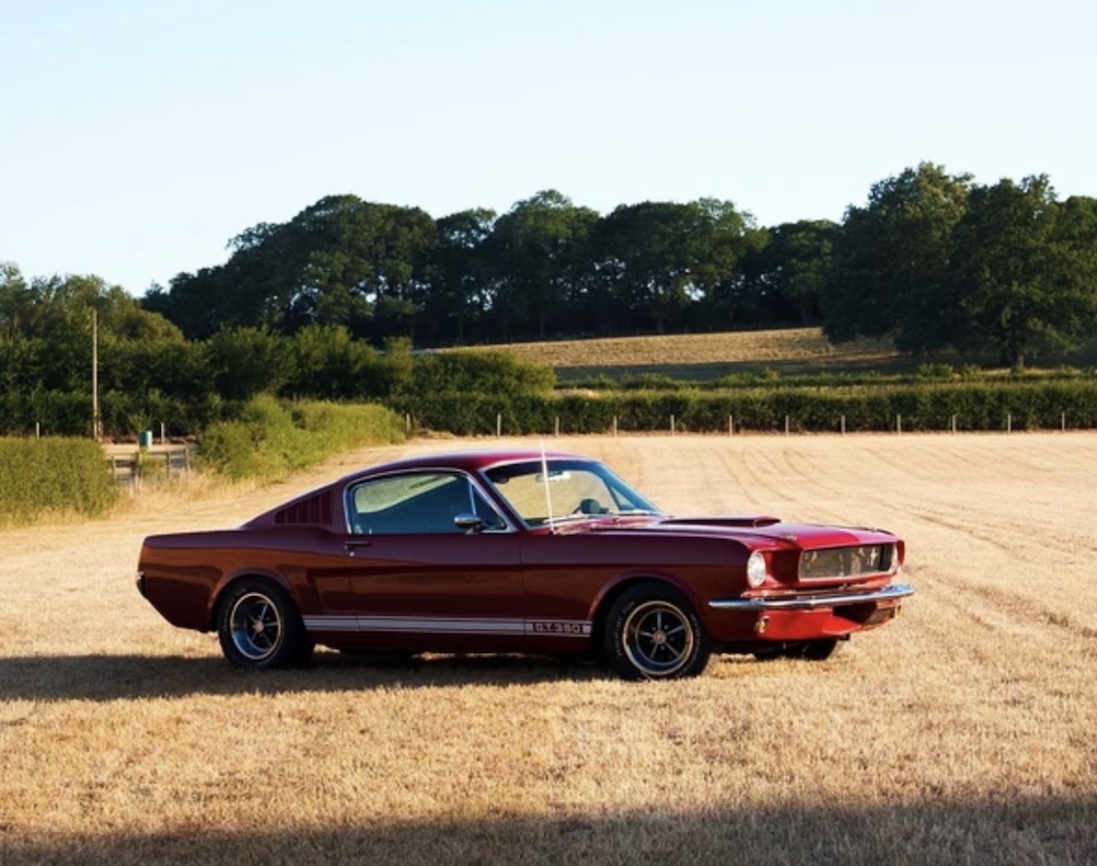 Burning In: Steve Theo's Mustang