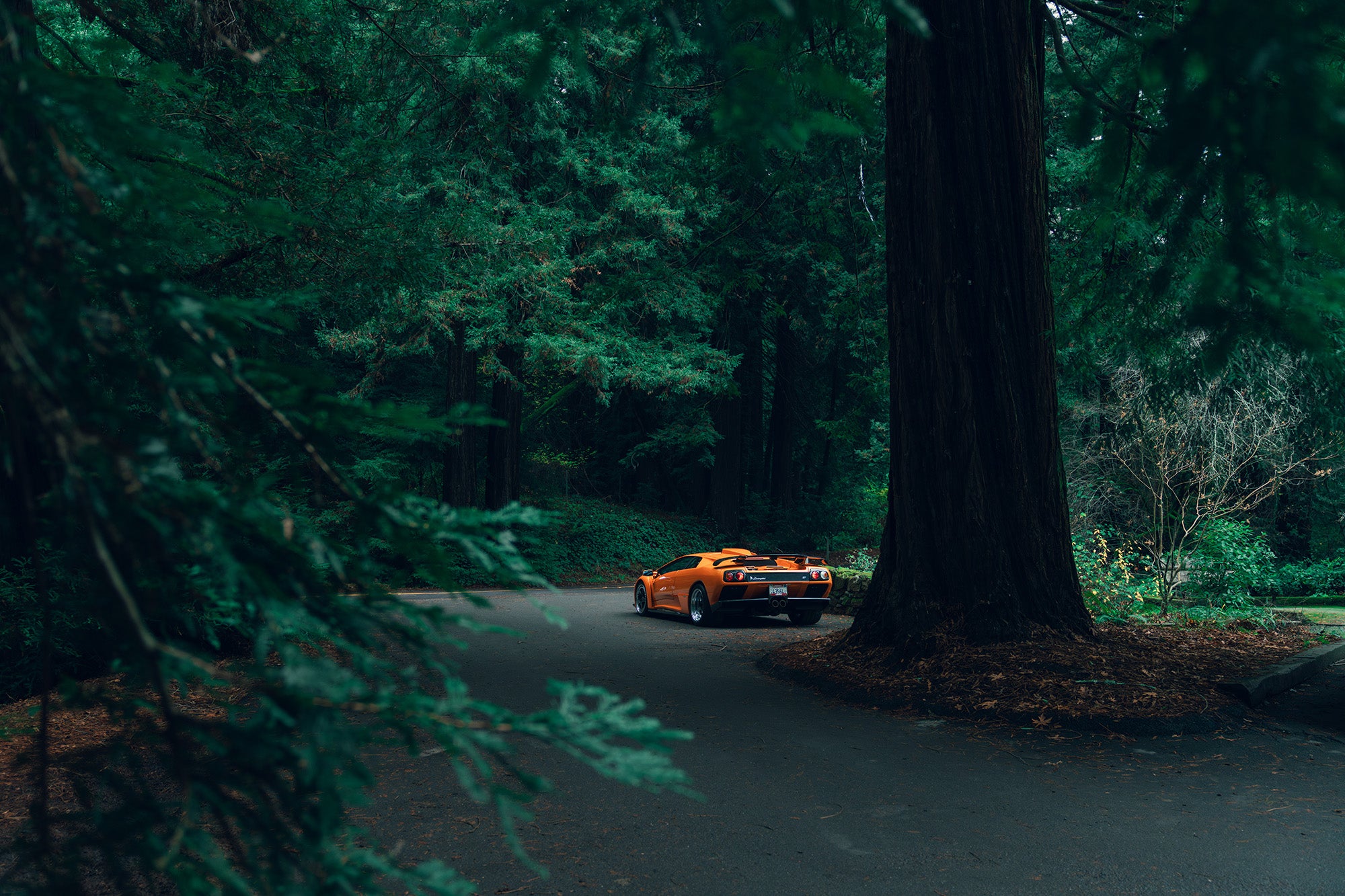 The Devil In The Trees: Lamborghini Diablo GT 6 DSC09537 Enhanced NR