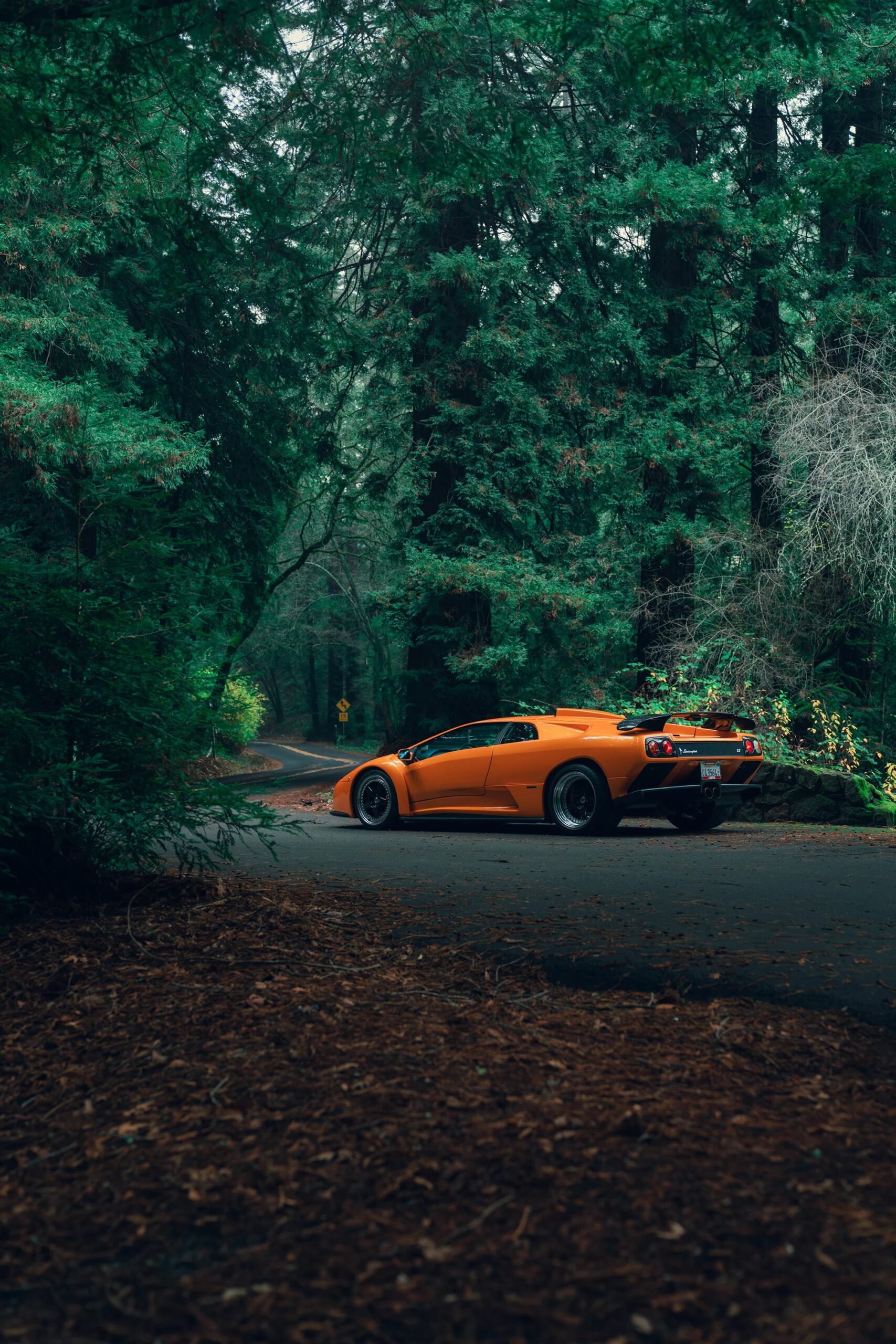 The Devil In The Trees: Lamborghini Diablo GT 2 DSC09546 Enhanced NR.jpg Kopie scaled