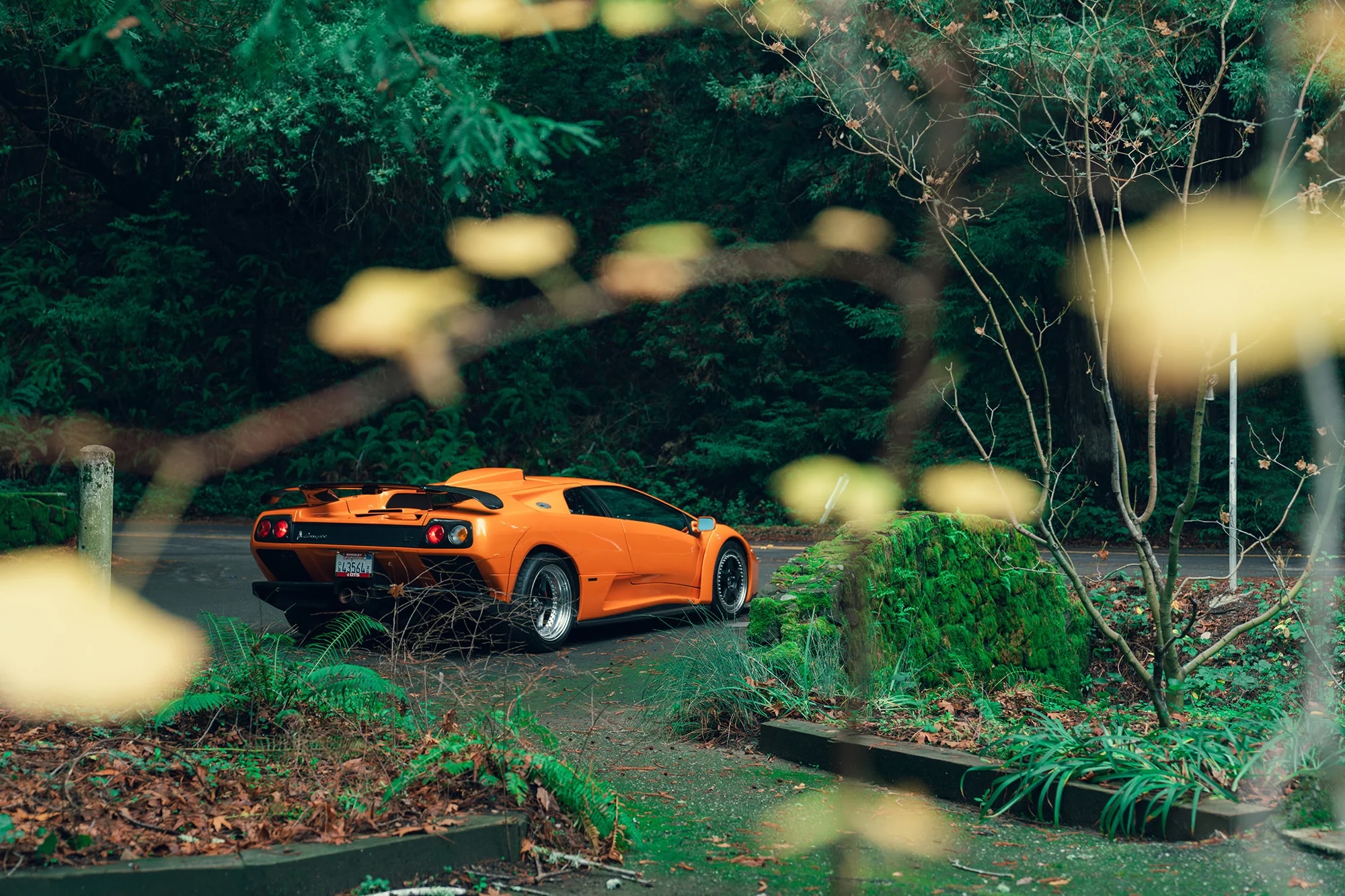 The Devil In The Trees: Lamborghini Diablo GT 3 DSC09569 Enhanced NR.jpg Kopie