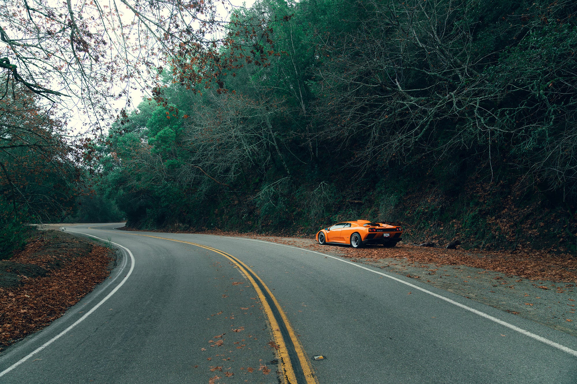 The Devil In The Trees: Lamborghini Diablo GT 4 DSC09684 Enhanced NR 1