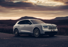 Bentley Torcal: Carefully Curated & Colourfully Crafted