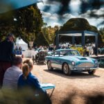 The Concours Spectator