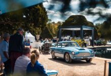 The Concours Spectator
