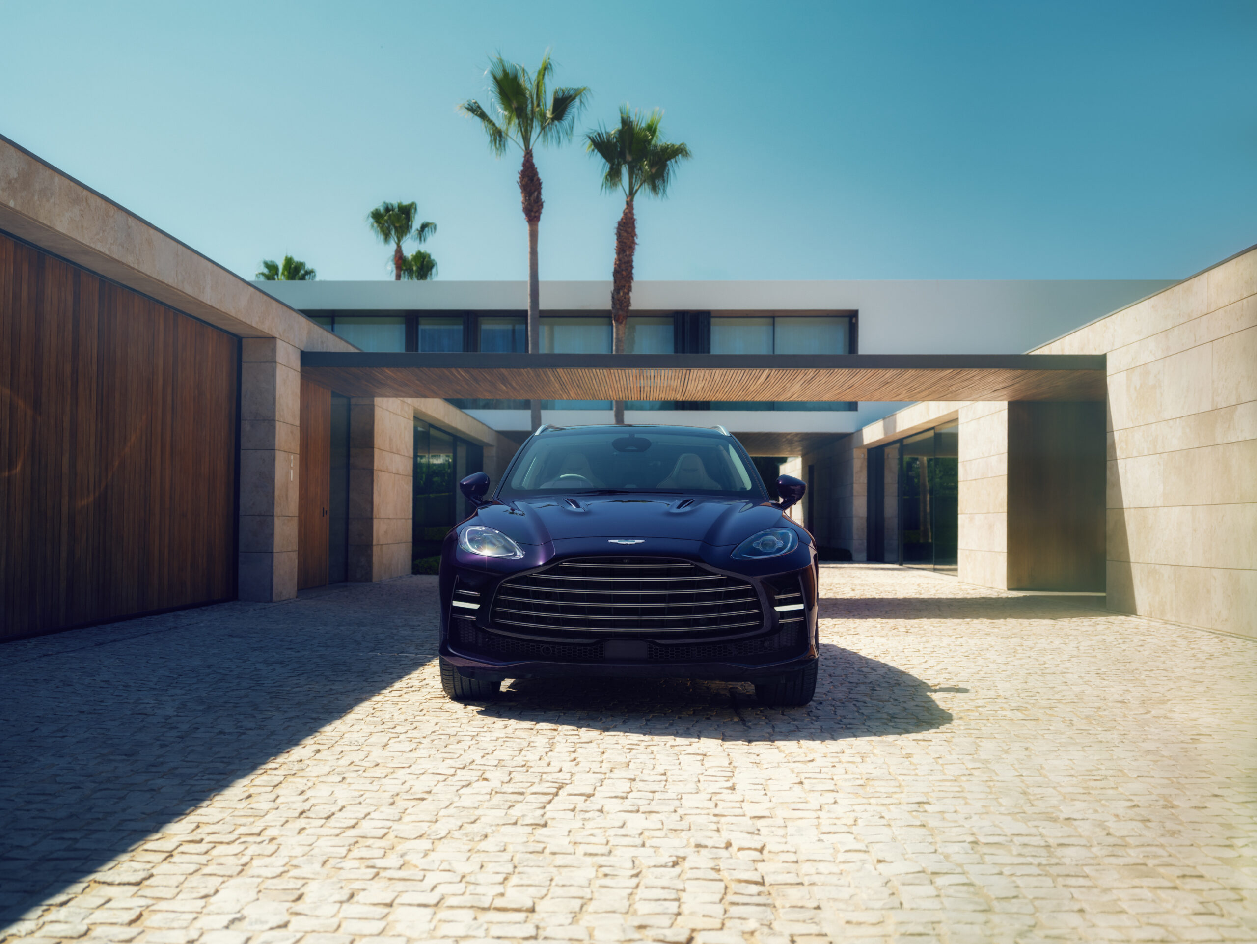 Aston Martin DBX GT 2 scaled