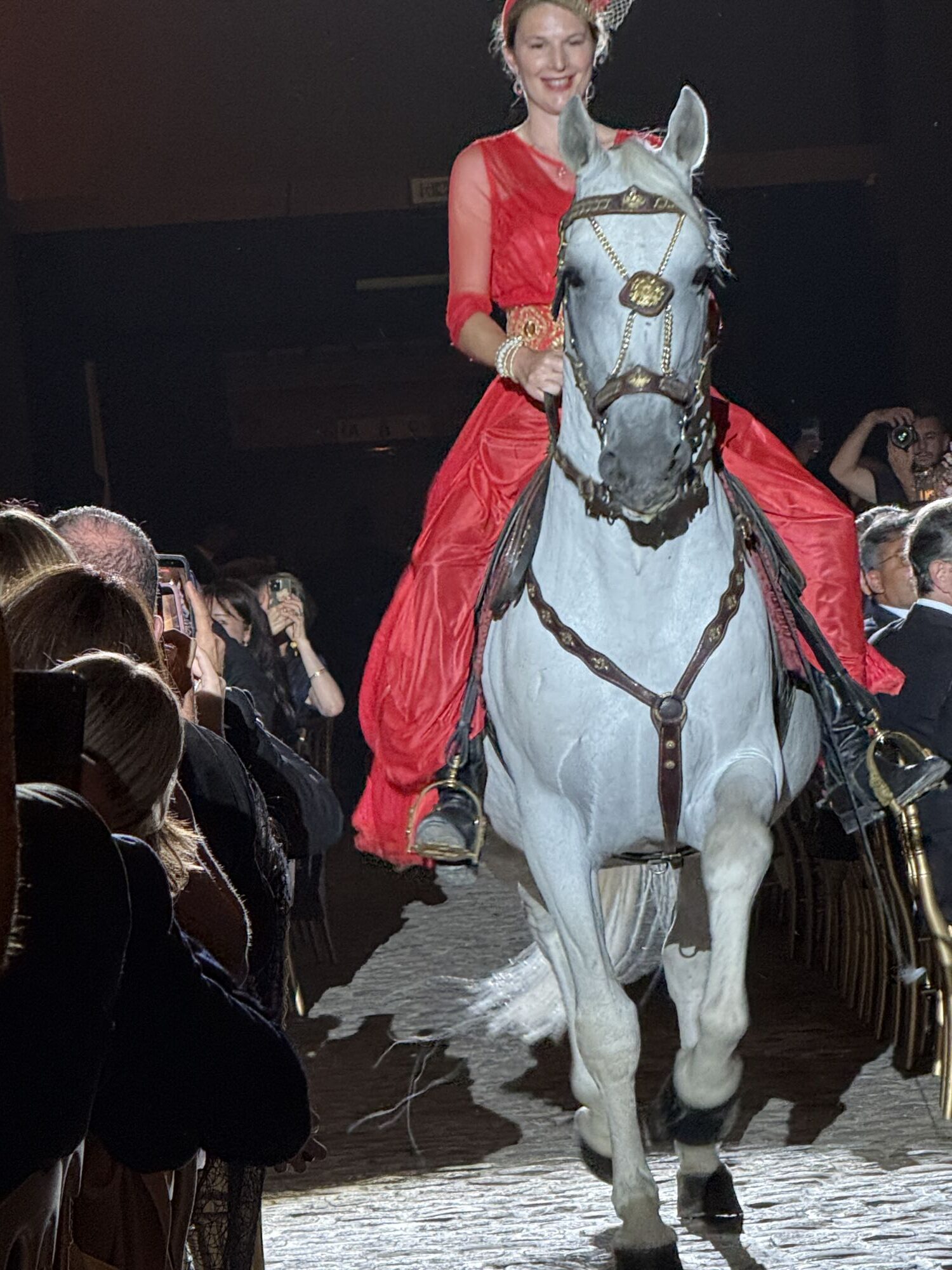 IMG 8294 rotated