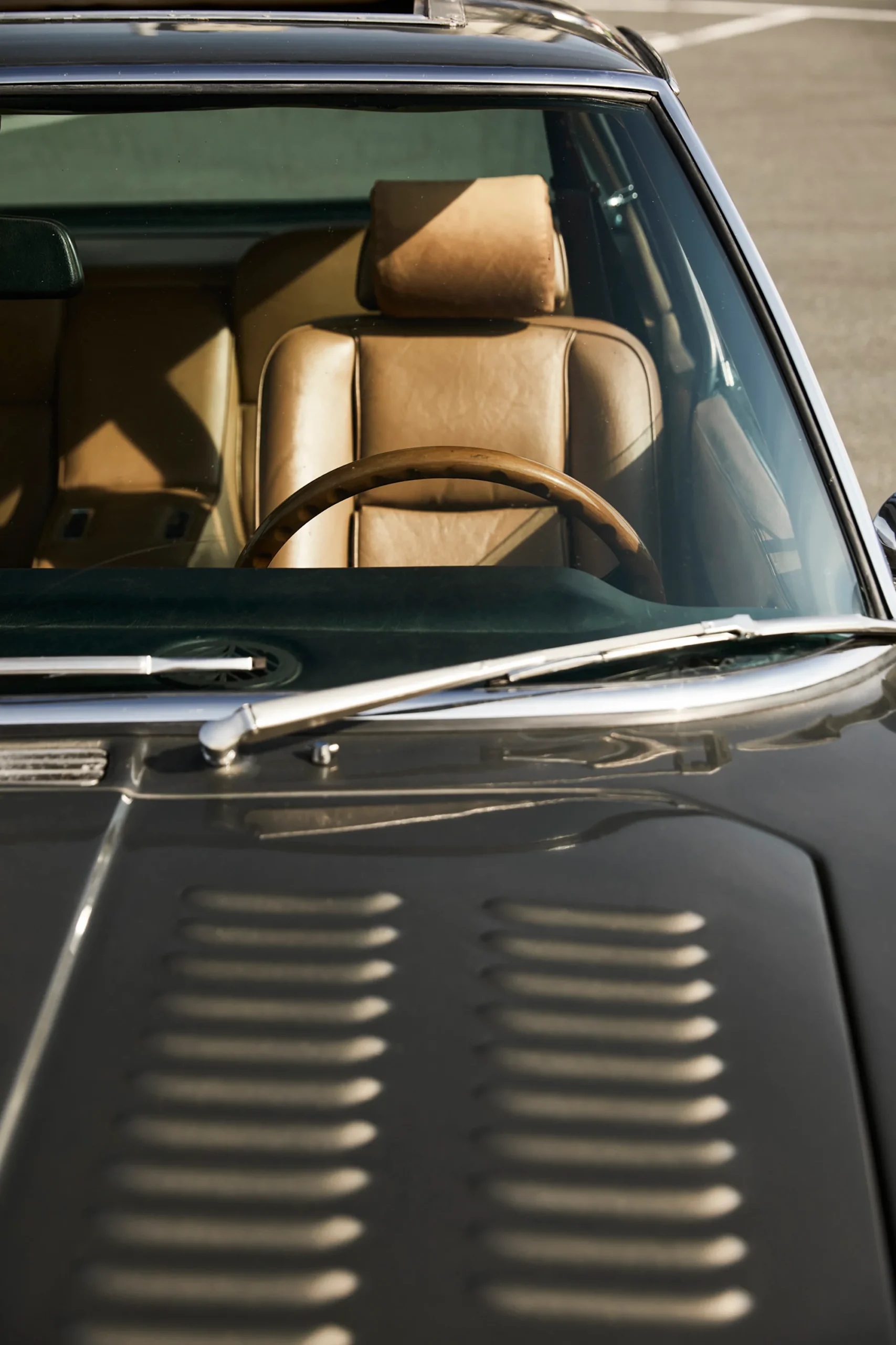 JENSEN 2026 1171.jpg scaled
